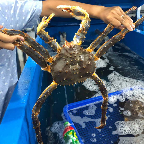 Cua King Crab xanh